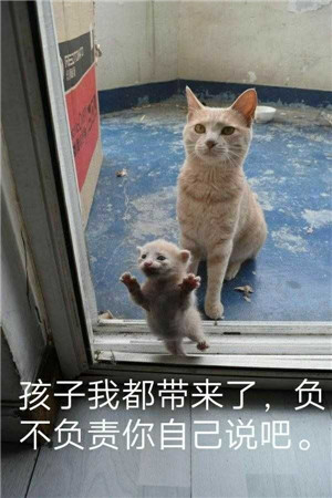 超撩的可爱表情包,女生抵抗不了的表情包 超撩的可爱表情包,女生抵抗不了的表情包第10张